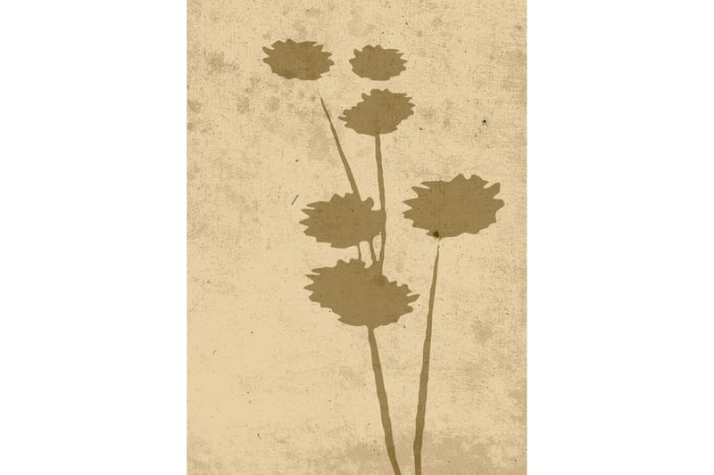 Juliste Flower art 50x70 cm, Beige