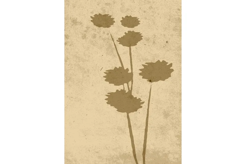 Juliste Flower art 50x70 cm, Beige
