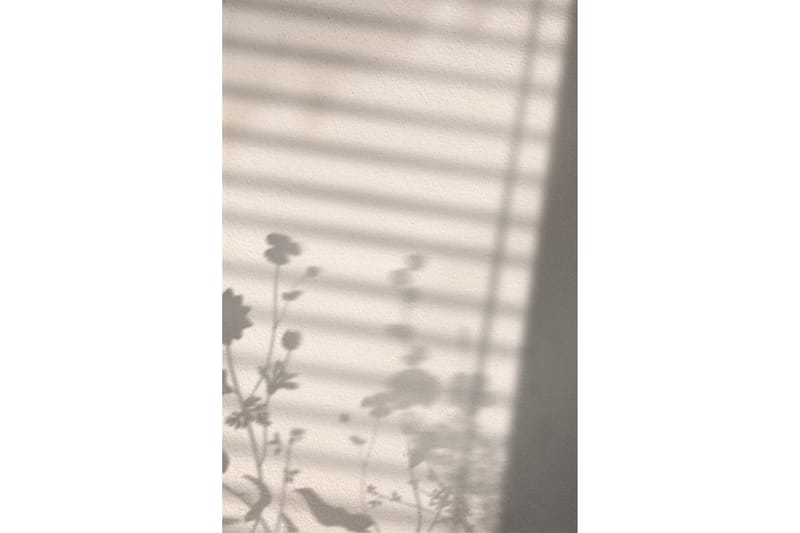 Juliste Flower Shadow 21x30 cm - Valkoinen - Sisustustuotteet - Taulu & taide - Juliste