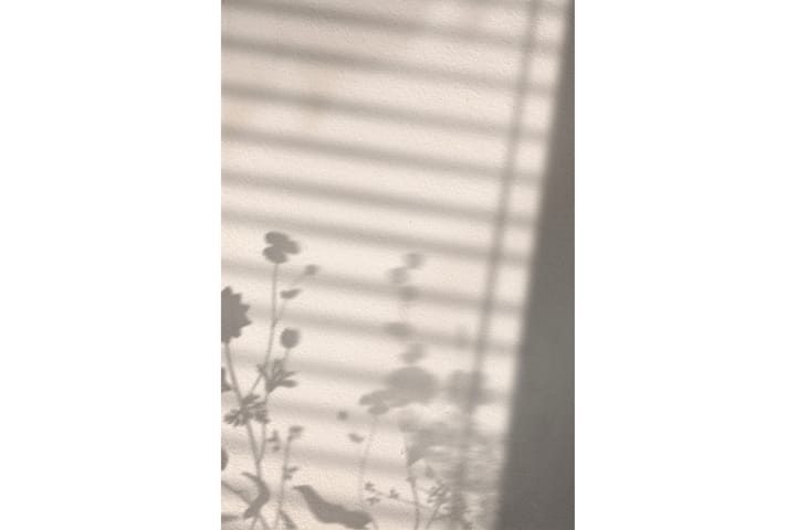 Juliste Flower shadow 50x70 cm - Valkoinen - Juliste