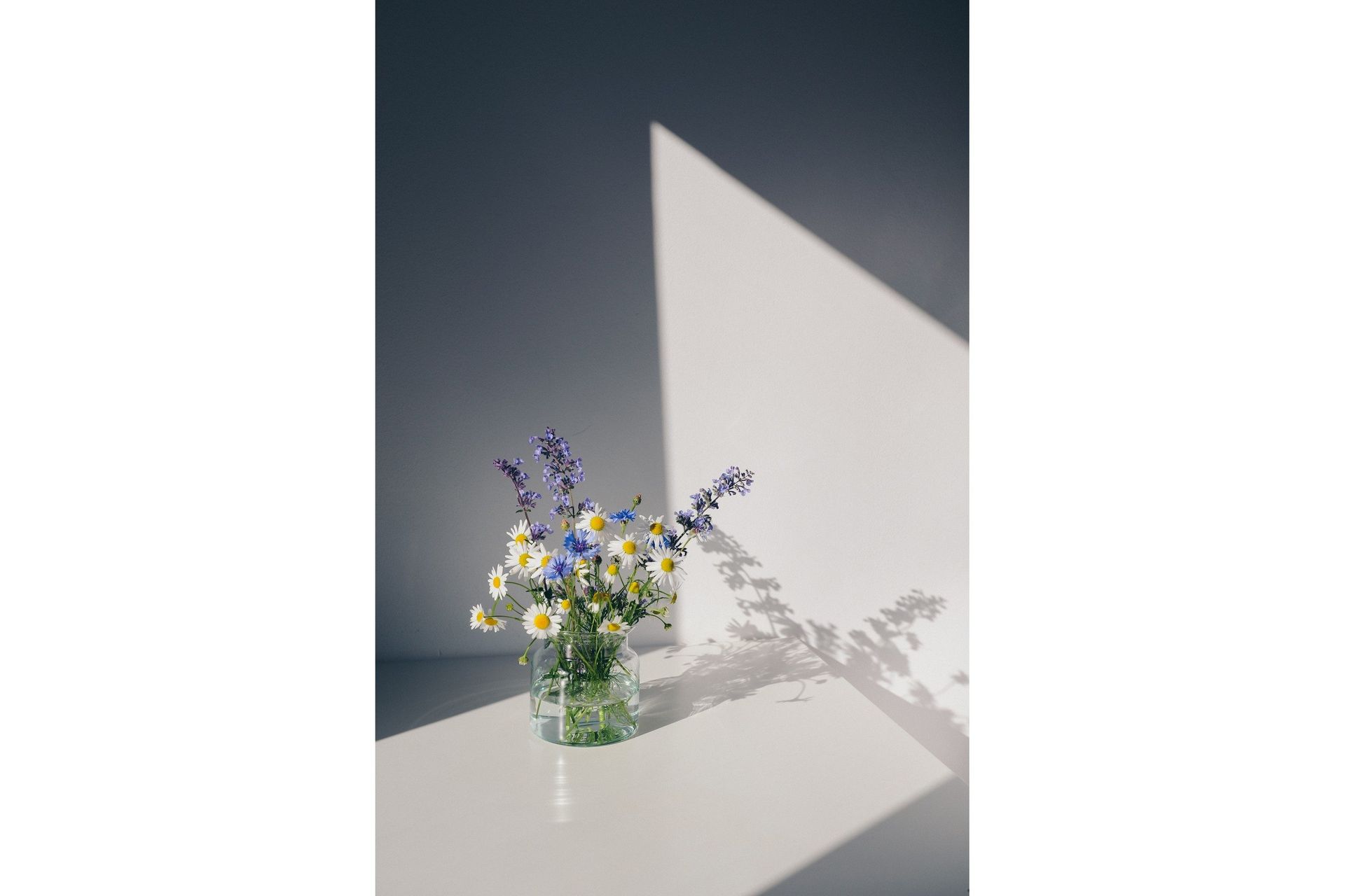 Juliste Flowers 50x70 cm - Valkoinen