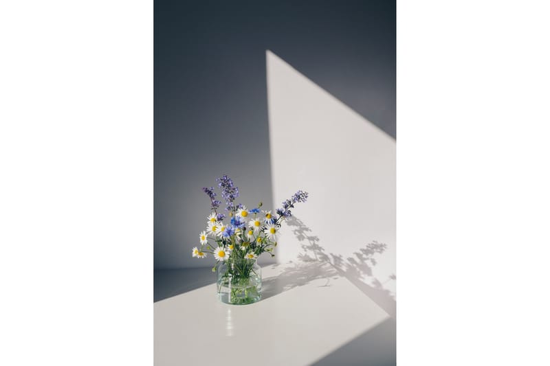 Juliste Flowers 50x70 cm, Valkoinen