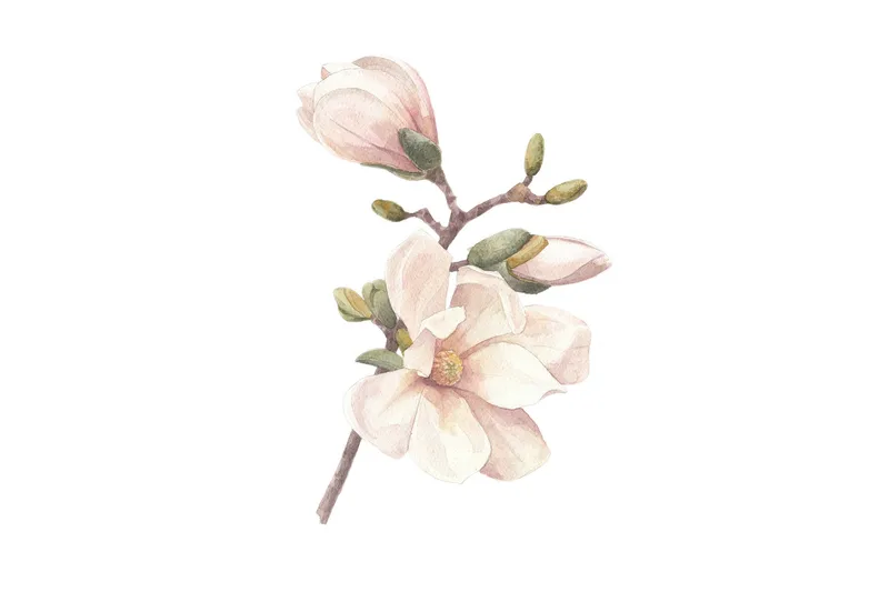 Juliste Hand made 21x30 cm, Roosa/Valkoinen