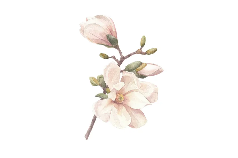 Juliste Hand made 50x70 cm, Roosa/Valkoinen