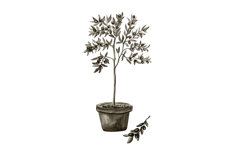 Juliste Olive 70x100 cm - Valkoinen/Vihreä - Sisustustuotteet - Taulu & taide - Juliste