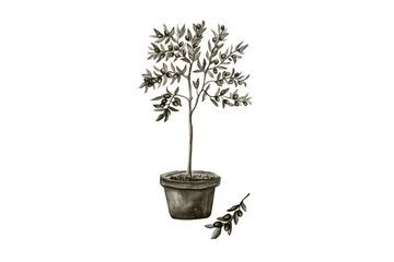 Juliste Olive 70x100 cm - Valkoinen/Vihreä - Sisustustuotteet - Taulu & taide - Juliste