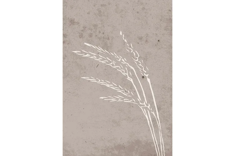 Juliste Seeds 21x30 cm, Beige