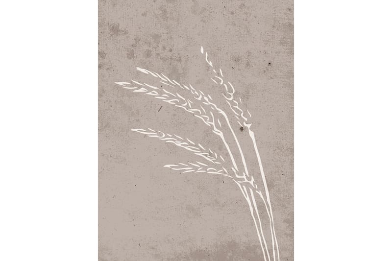 Juliste Seeds 30x40 cm, Beige