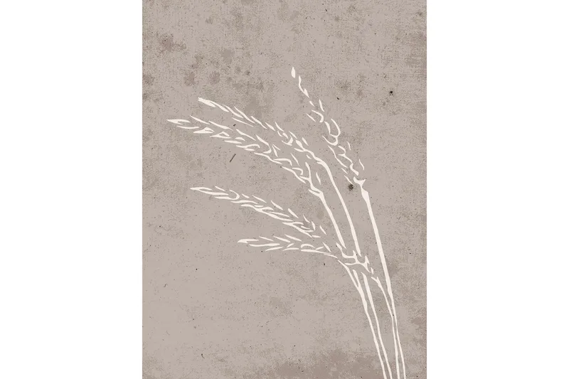 Juliste Seeds 30x40 cm, Beige