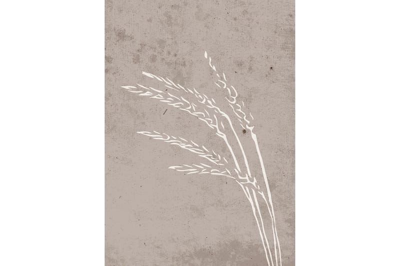 Juliste Seeds 50x70 cm, Beige