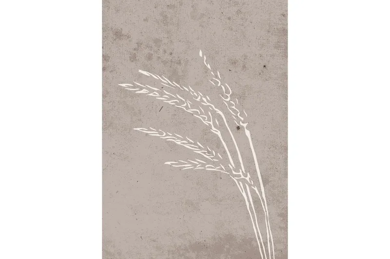 Juliste Seeds 50x70 cm, Beige