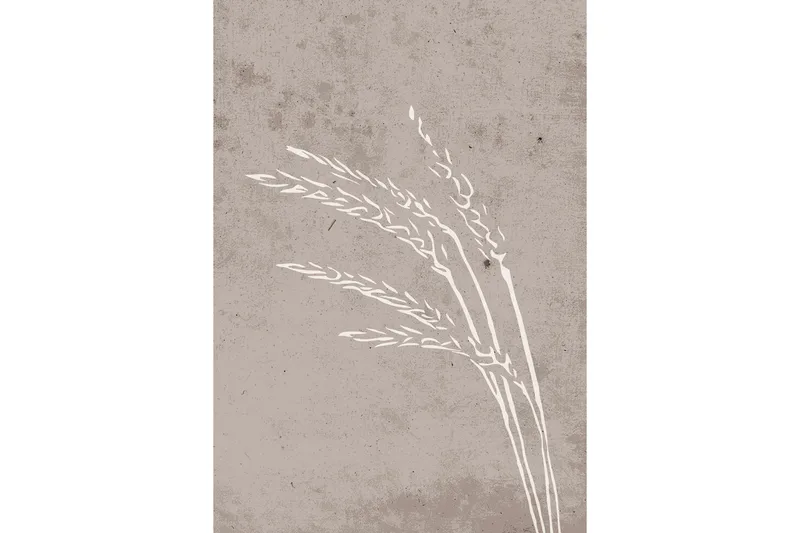 Juliste Seeds 70x100 cm, Beige