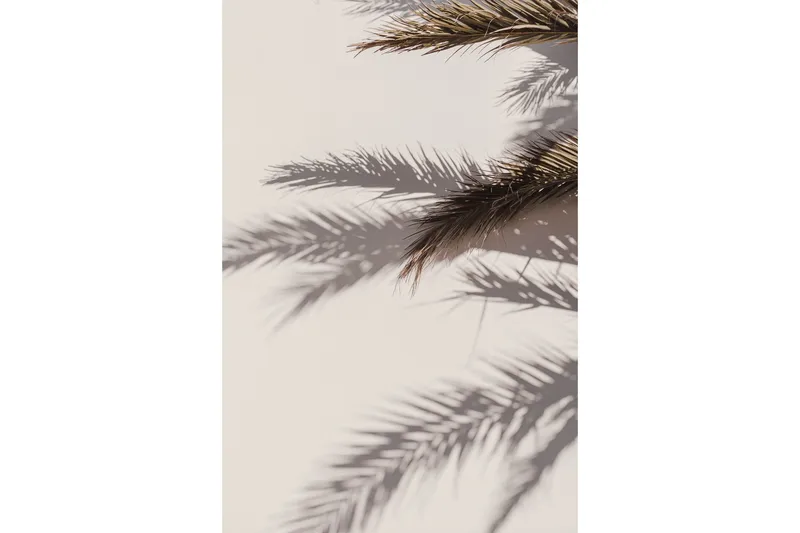 Juliste Shadow 21x30 cm, Beige