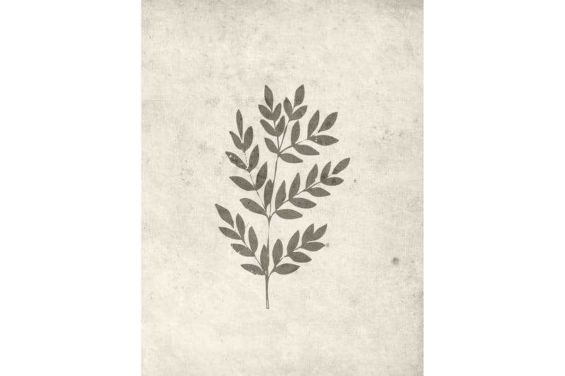 Juliste Spring leaf 30x40 cm - Beige - Sisustustuotteet - Taulu & taide - Juliste