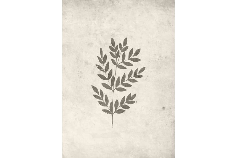 Juliste Spring leaf 50x70 cm - Beige - Sisustustuotteet - Taulu & taide - Juliste