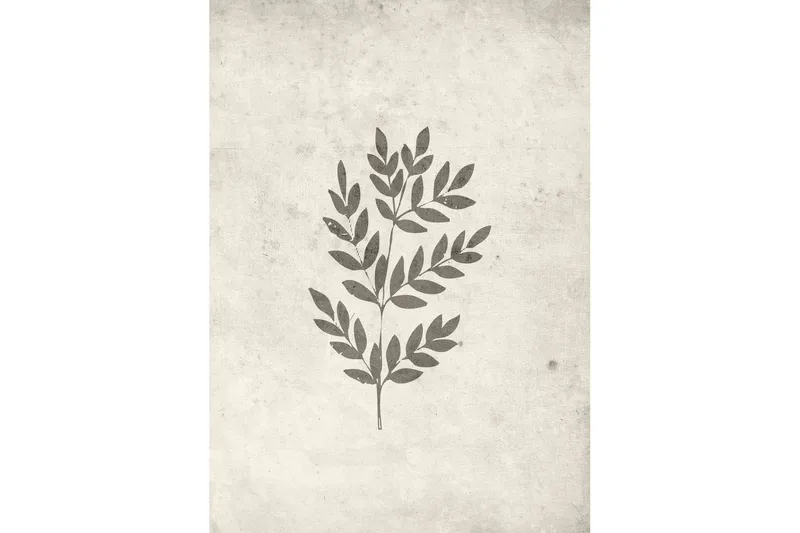 Juliste Spring leaf 50x70 cm, Beige