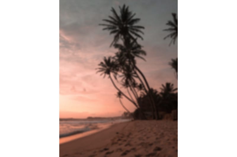 Juliste Summer 30x40 cm, Roosa