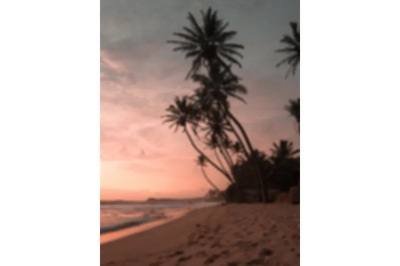 Juliste Summer 30x40 cm, Roosa