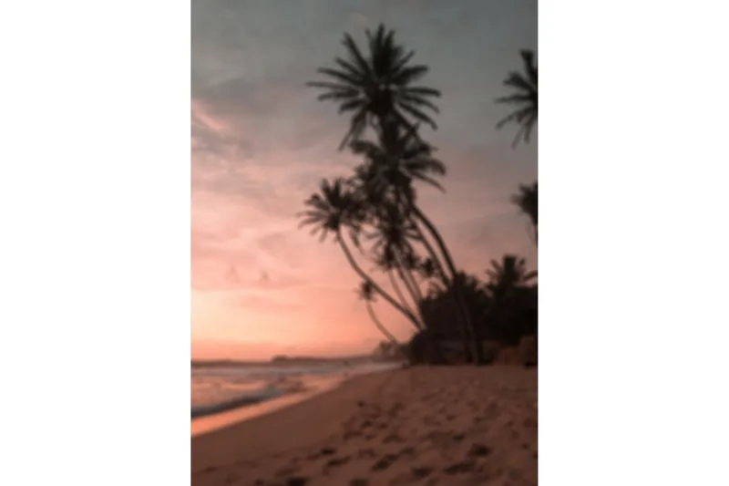 Juliste Summer 50x70 cm, Roosa