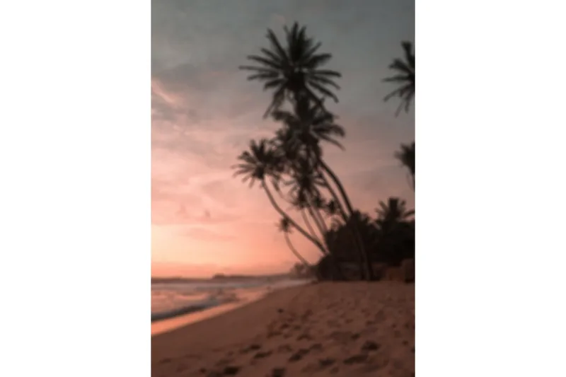 Juliste Summer 70x100 cm, Roosa