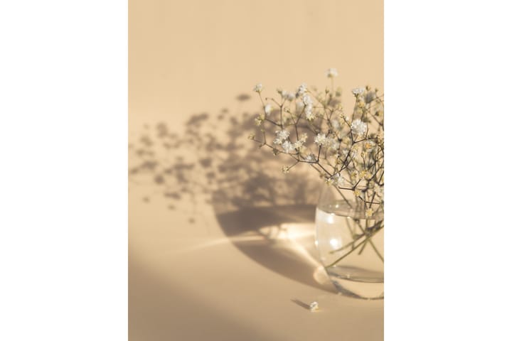 Juliste white flowers 21x30 cm - Beige - Juliste