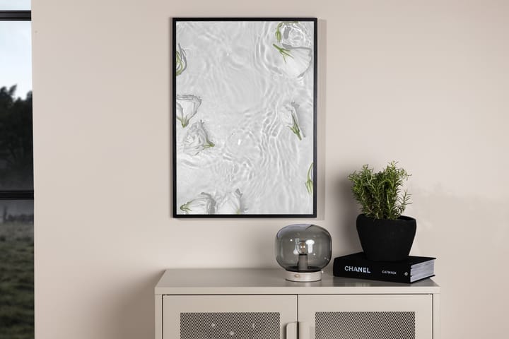 Juliste White roses 50x70 cm - Valkoinen - Juliste