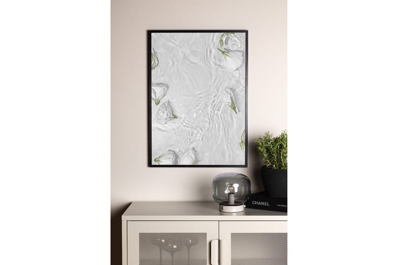 Juliste White roses 50x70 cm - Valkoinen - Juliste