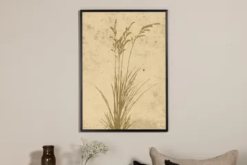 Juliste Plant art 50x70 cm - Beige - Sisustustuotteet - Taulu & taide - Juliste