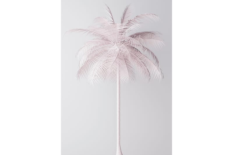 Palmtree Kuva Vaaleanpunainen/Valkoinen - 50x70 cm - Juliste - Lastenhuoneen julisteet