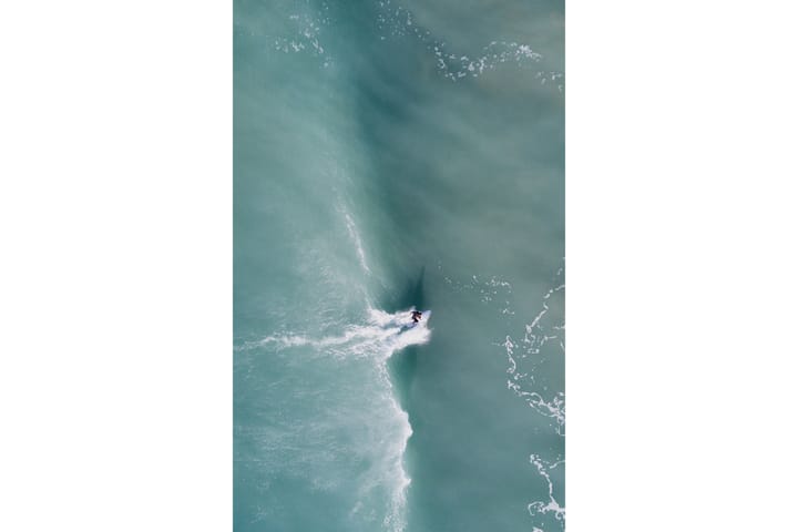 Surfing Freedom Kuva Sininen - 50x70 cm - Urheilujulisteet - Juliste