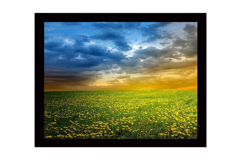 Kehystetty puinen canvas-taulu - 41x56 cm - Kukkiva niitty keltaisten voikukkien kanssa dramaattisen taivaan alla, Keltainen / Sininen / Vihreä
