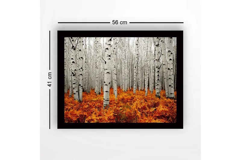 Kehystetty puutaulu canvasille - 41x56 cm - Syysmetsä koivujen ja kultaisten saniaisten kanssa - Valkoinen / Oranssi - Sisustustuotteet - Taulu & taide