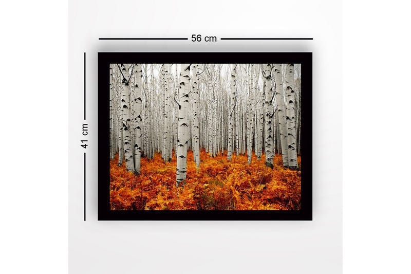 Kehystetty puutaulu canvasille - 41x56 cm - Syysmetsä koivujen ja kultaisten saniaisten kanssa - Valkoinen / Oranssi - Sisustustuotteet - Taulu & taide