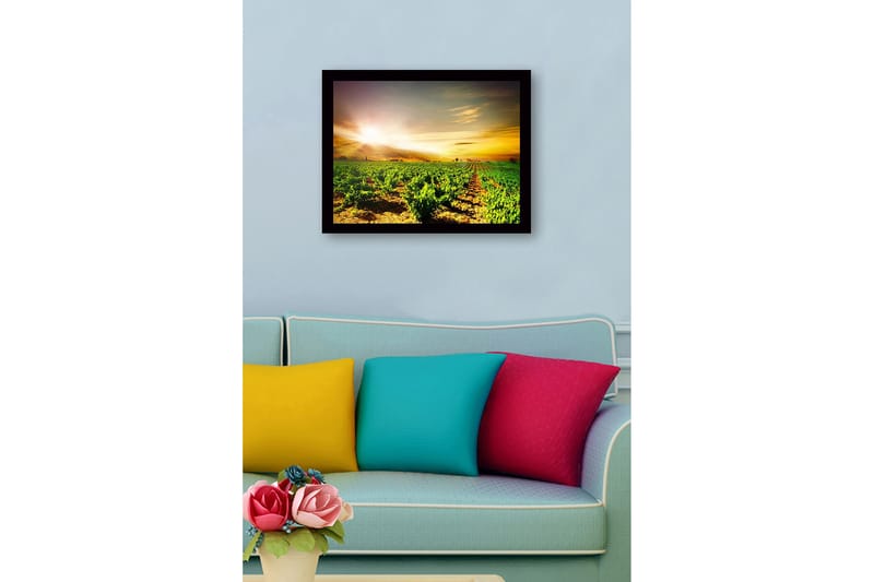 Kehystetty puucanvas - 41x56 cm - Kaunis viinitarha auringonnousun aikaan - Vihreä / Keltainen / Oranssi - Sisustustuotteet - Taulu & taide