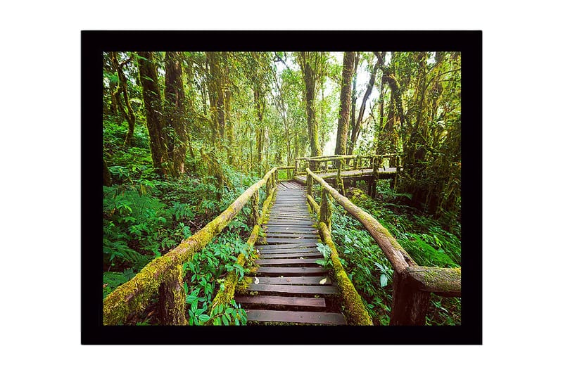 Kehystetty puutaulu canvasille - 41x56 cm - Rehevä metsäpolku puisilla silloilla, Vihreä / Ruskea / Keltavihreä