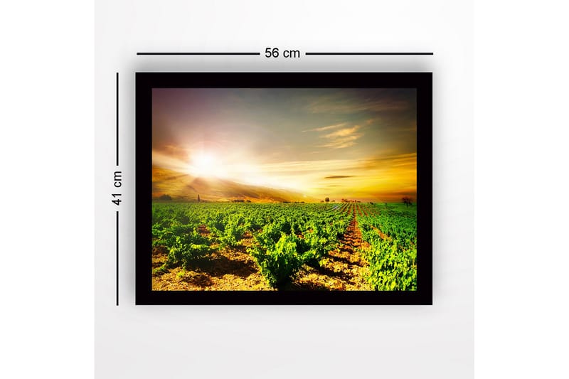 Kehystetty puucanvas - 41x56 cm - Kaunis viinitarha auringonnousun aikaan - Vihreä / Keltainen / Oranssi - Sisustustuotteet - Taulu & taide