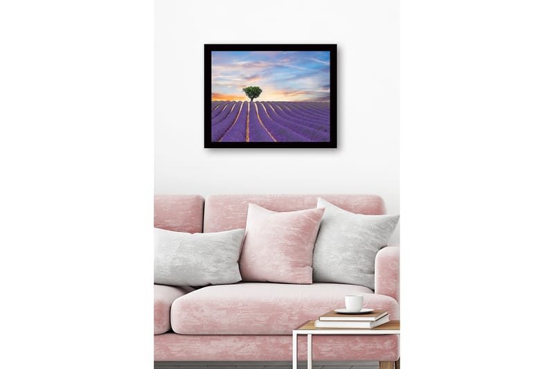 Kehystetty puutaulu canvasille - 41x56 cm - Laventelipelto yksinäisen puunlatvuksen kanssa horisontissa - Violetti / Vihreä / Beige - Sisustustuotteet - Taulu & taide