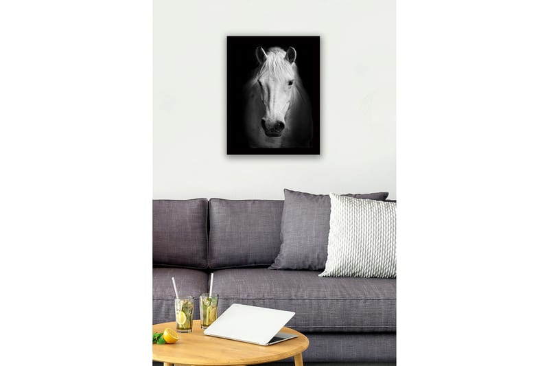 Kehystetty puukangas - 41x56 cm - Valkoisen hevosen muotokuva vahvoilla kontrasteilla - Valkoinen / Musta - Sisustustuotteet - Taulu & taide