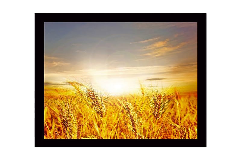 Kehystetty puutaulu canvasille - 41x56 cm - Kultaiset vehnäpellot auringonnousun aikana, Kulta / Oranssi / Vaaleansininen