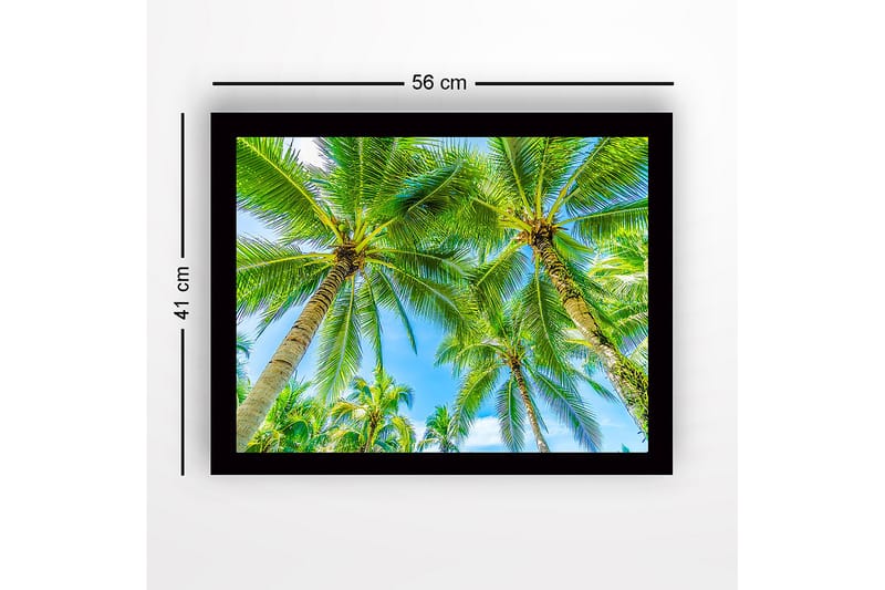 Kehystetty puucanvas - 41x56 cm - Korkeat palmut kirkasta sinistä taivasta vasten - Vihreä / Sininen - Sisustustuotteet - Taulu & taide