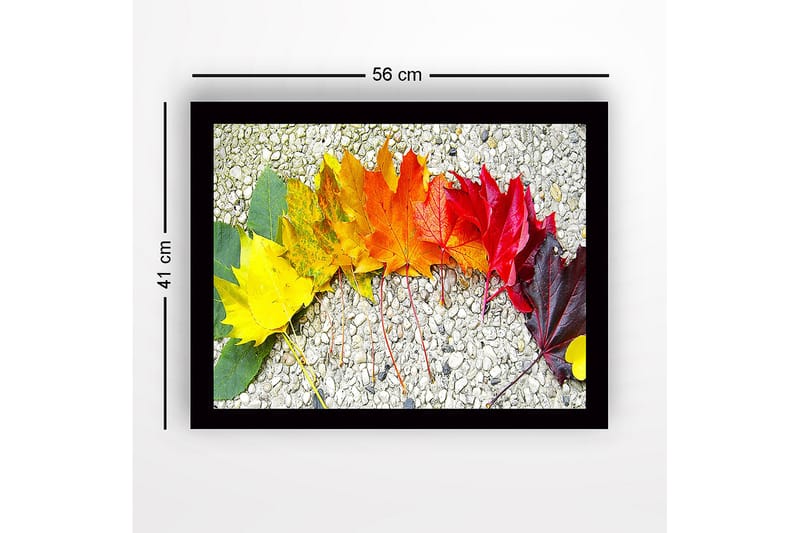 Kehystetty puutaulu canvasille - 41x56 cm - Värikäs rivi syksyn lehtiä eri sävyissä - Keltainen / Oranssi / Punainen - Sisustustuotteet - Taulu & taide