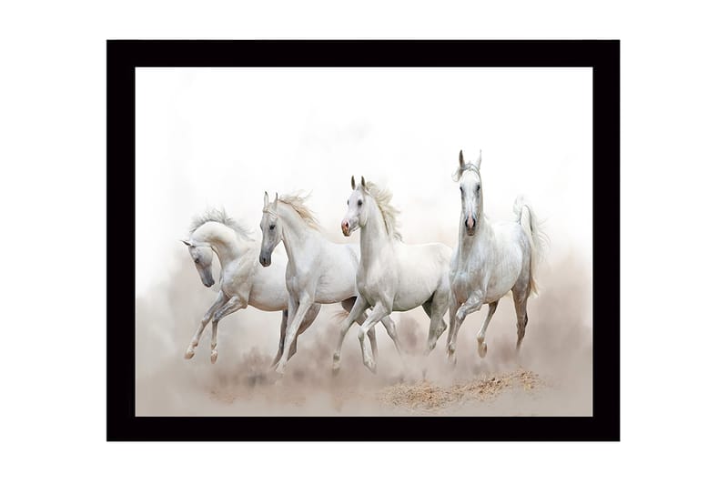 Kehystetty puucanvas - 41x56 cm - Neljä valkoista hevosta liikkeessä, Valkoinen / Vaaleanharmaa