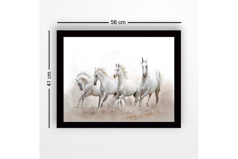 Kehystetty puucanvas - 41x56 cm - Neljä valkoista hevosta liikkeessä - Valkoinen / Vaaleanharmaa - Sisustustuotteet - Taulu & taide