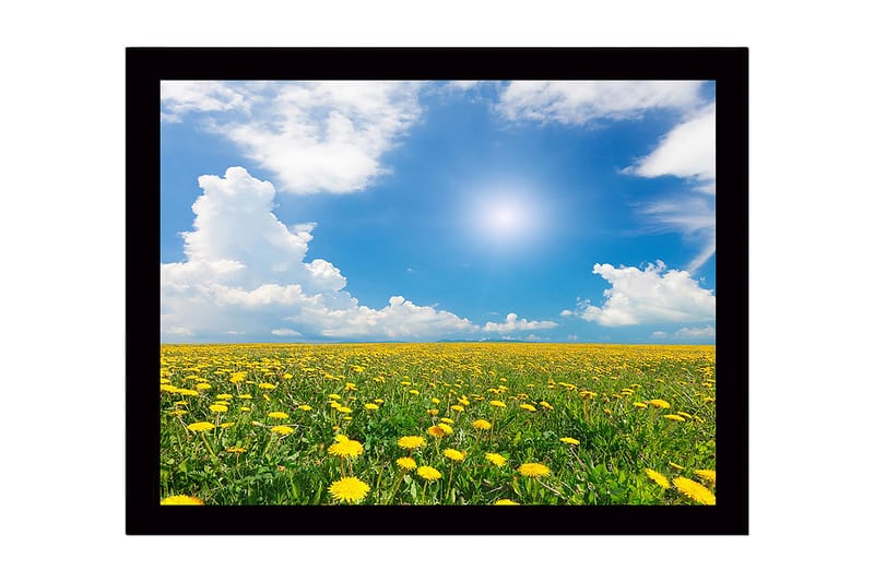 Kehystetty puinen canvas-taulu - 41x56 cm - Kukkiva voikukkapelto kirkkaan sinisen taivaan alla, Keltainen / Vihreä / Sininen