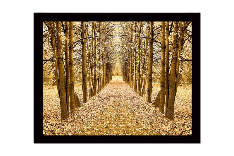 Kehystetty puutaulu canvasille - 41x56 cm - Kultainen puiden kuja syksyn väreissä, Kulta / Ruskea / Beige