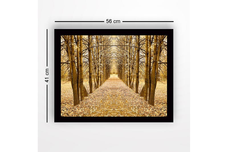 Kehystetty puutaulu canvasille - 41x56 cm - Kultainen puiden kuja syksyn väreissä - Kulta / Ruskea / Beige - Sisustustuotteet - Taulu & taide