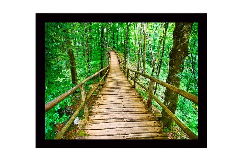 Kehystetty puinen canvas-taulu - 41x56 cm - Puinen silta mutkittelee rehevän metsän läpi - Vihreä / Ruskea - Sisustustuotteet - Taulu & taide
