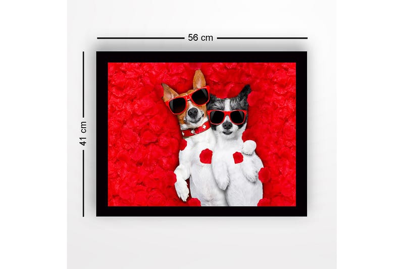 Kehystetty puutaulu canvas-taululla - 41x56 cm - Kaksi koiraa aurinkolaseissa punaisten ruusun terälehtien ympäröimänä - Punainen / Musta / Valkoinen - Sisustustuotteet - Taulu & taide
