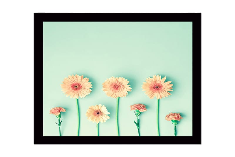 Kehystetty puutaulu canvasille - 41x56 cm - Värikäs rivi kukkia gerberalla ja neilikalla, Vaalean oranssi / Vihreä / Mintunvihreä
