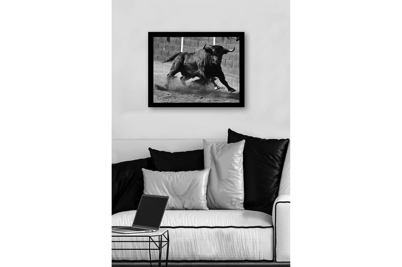 Kehystetty puucanvas - 41x56 cm - Voimakas härkä liikkeessä - Musta / Harmaa - Sisustustuotteet - Taulu & taide